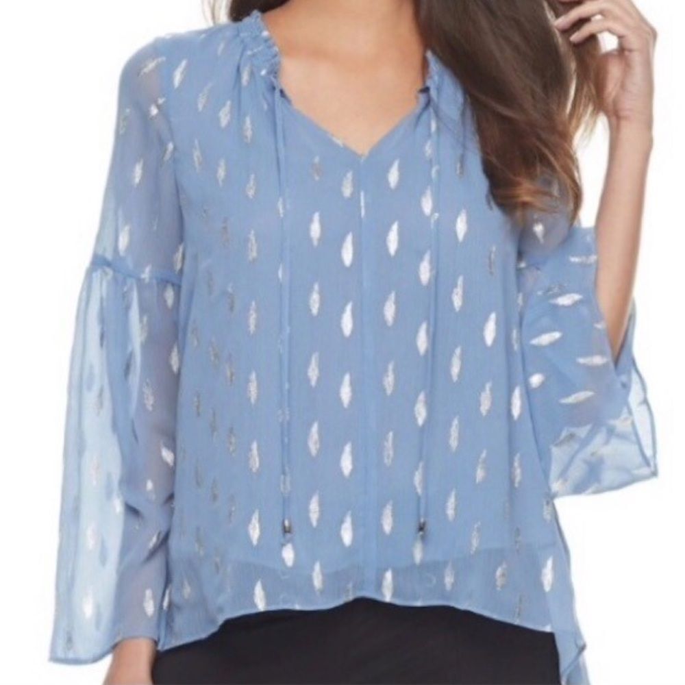 Jennifer Lopez Blue & Silver Sheer Blouse Size 3X